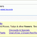 new Google Ad format