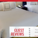 Guest Review Content