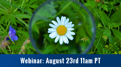Webinar-Search